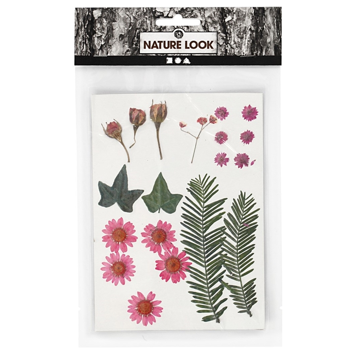 Lule dhe gjethe të shtypura | Red Lule dhe gjethe të shtypura | Red