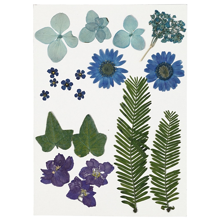 Lule dhe gjethe të shtypura | Blue Lule dhe gjethe të shtypura | Blue