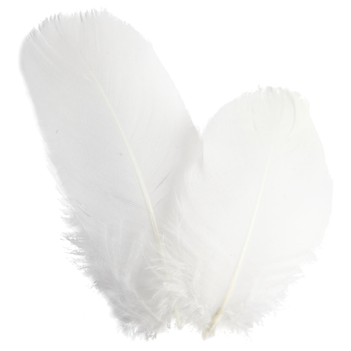 Pupla dekorative 3g / zgjidhni një ngjyrë | Të bardhë Pupla dekorative 3g / zgjidhni një ngjyrë | Të bardhë