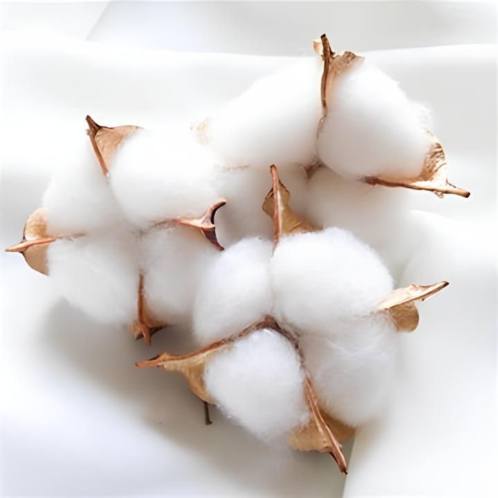 Bimë të thata për prodhimin e sapunit | Lloje dhe pesha të ndryshme | White cotton 3 pieces Bimë të thata për prodhimin e sapunit | Lloje dhe pesha të ndryshme | White cotton 3 pieces