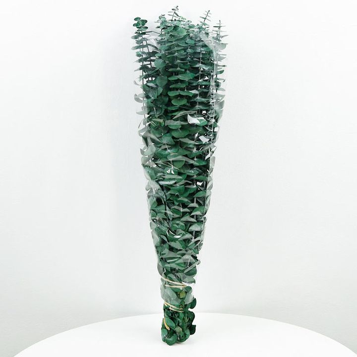 Bimë të thata për prodhimin e sapunit | Lloje dhe pesha të ndryshme | Eucalyptus 10g Bimë të thata për prodhimin e sapunit | Lloje dhe pesha të ndryshme | Eucalyptus 10g