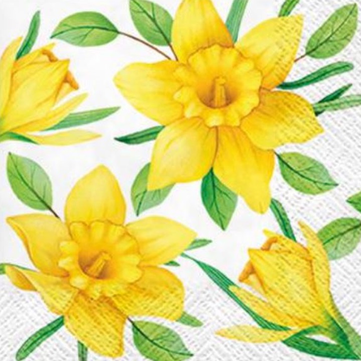 Peceta Decoupage Artistik Peceta Decoupage Artistik